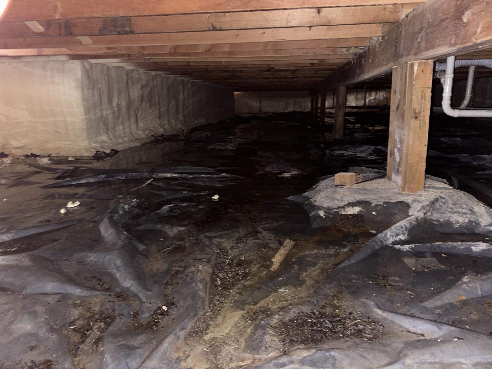 Xtreme Restoration & Carpet Cleaning Image