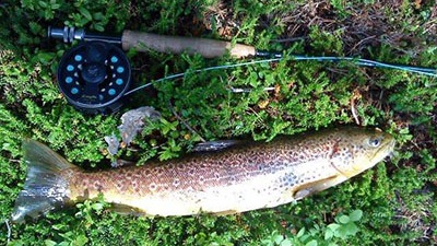 Big River Camp Föllinge