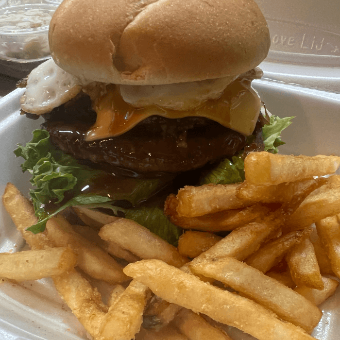 Teriyaki Hamburger
