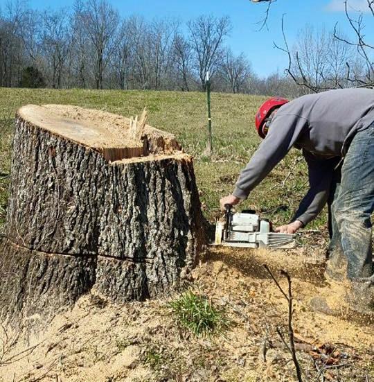 Heisinger Tree Service Photo