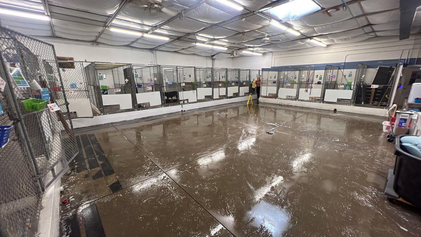 Cleveland Concrete Coatings Image