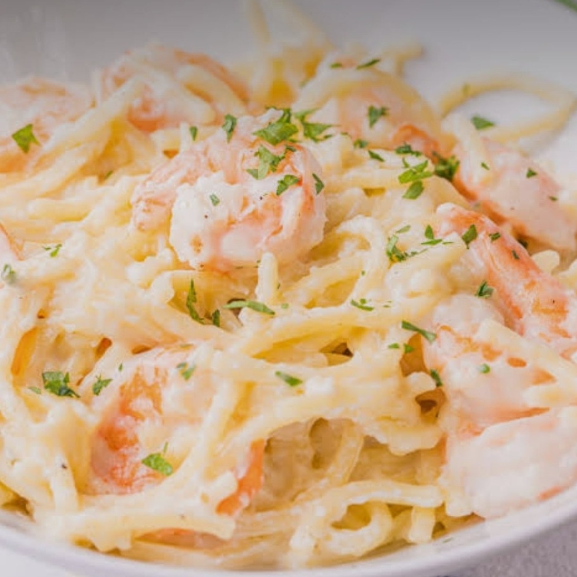 Shrimp Alfredo Pasta