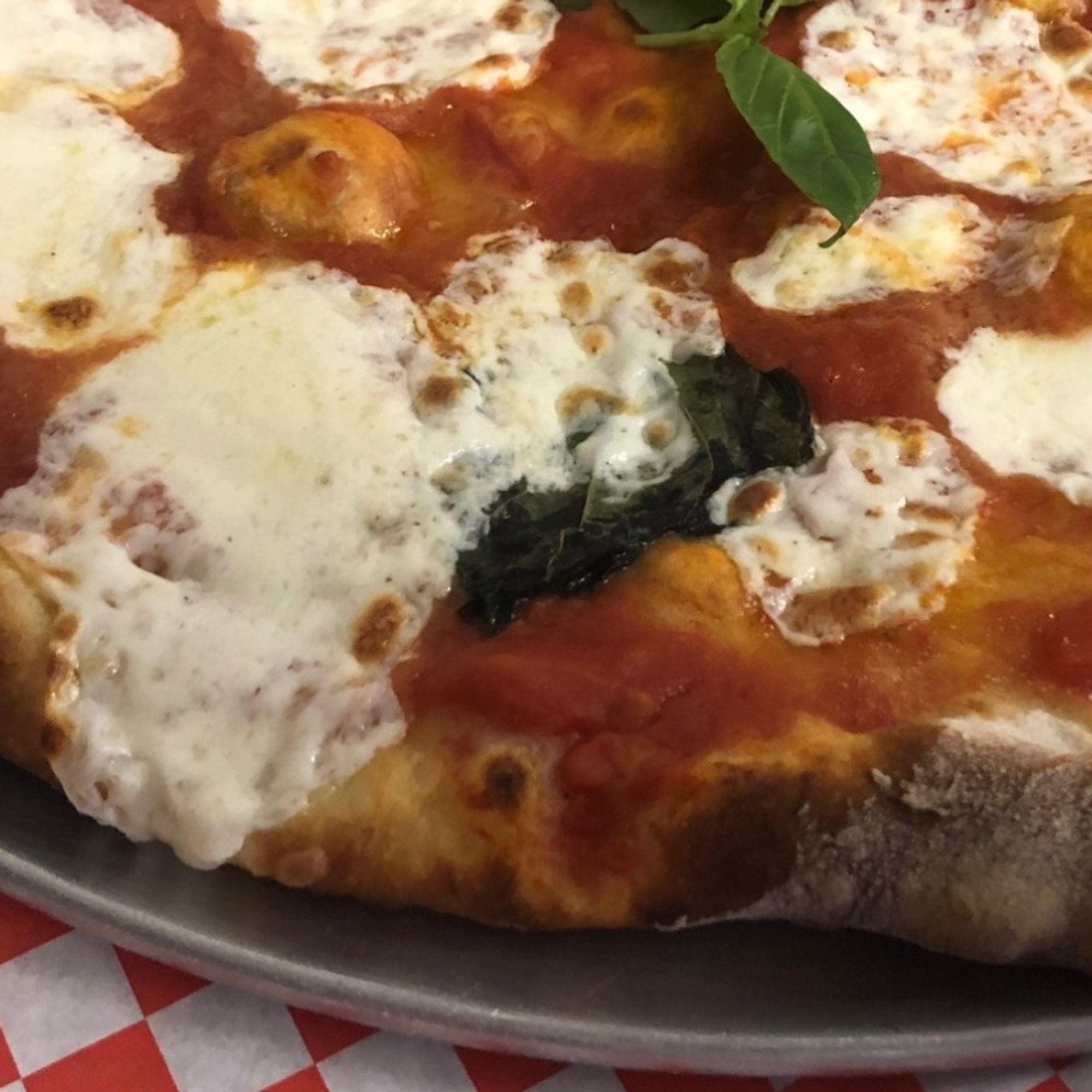 Margherita Pizza