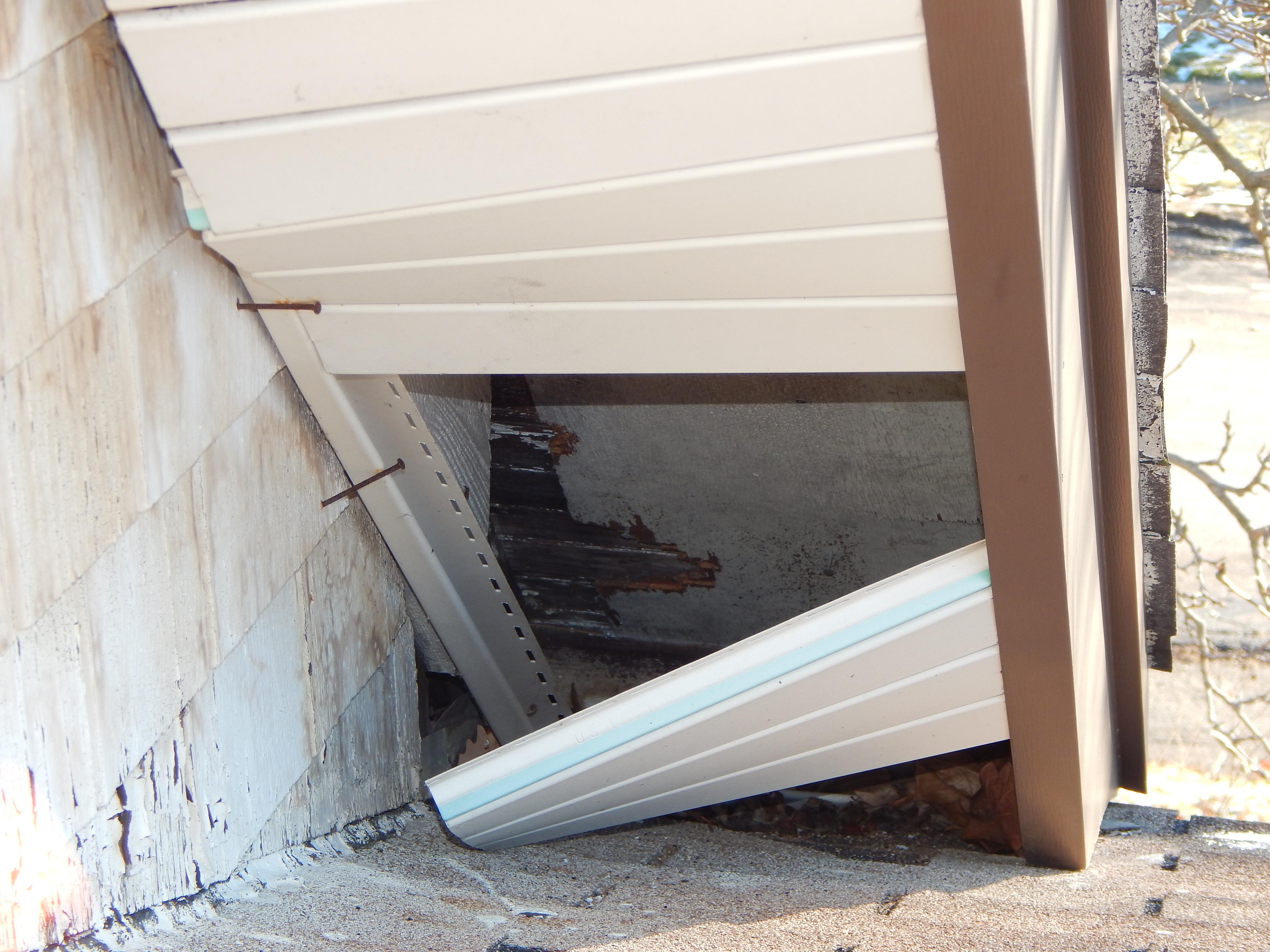 With an overhanging tree branch nearby, this damaged area of soffit and siding was likely the entry point for unwanted guests (and water). Home maintenance is key in preventing minor issues from becoming larger. Much larger. 