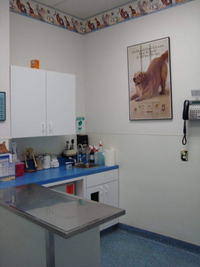 Staten Island Animal Hospital Photo