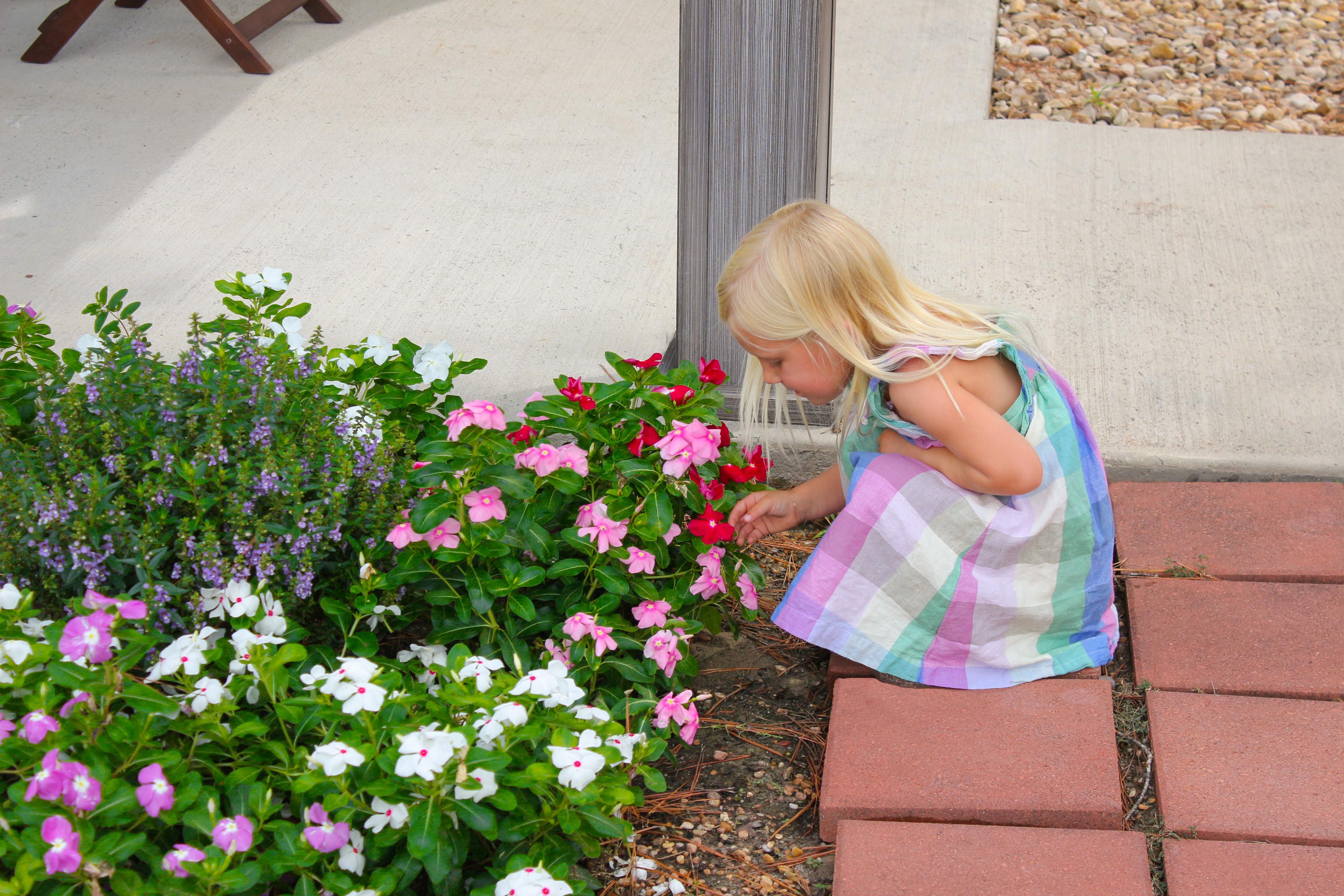 Royal Palms RV Park Resort Image