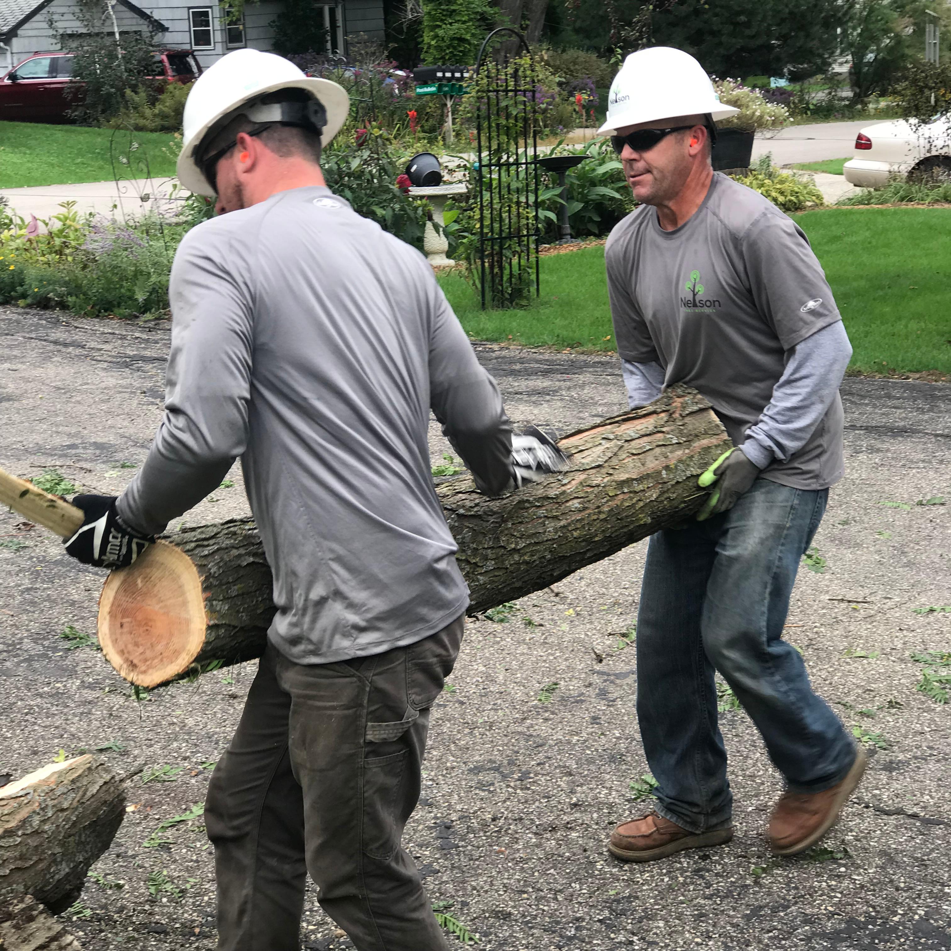 Nelson Tree Service LLC
