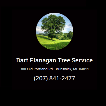 Bart Flanagan Tree Service LLC Logo