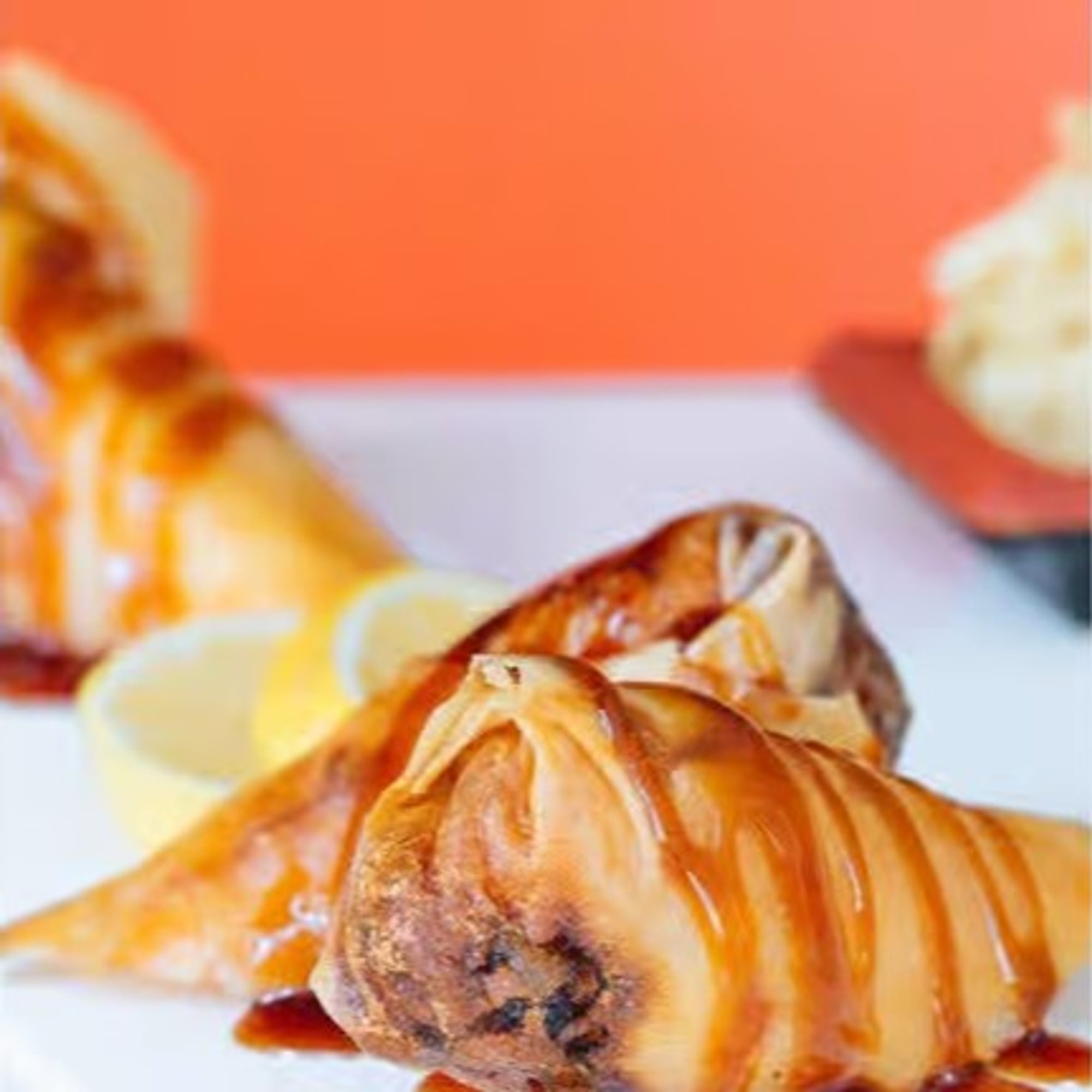 Salmon Spring Roll