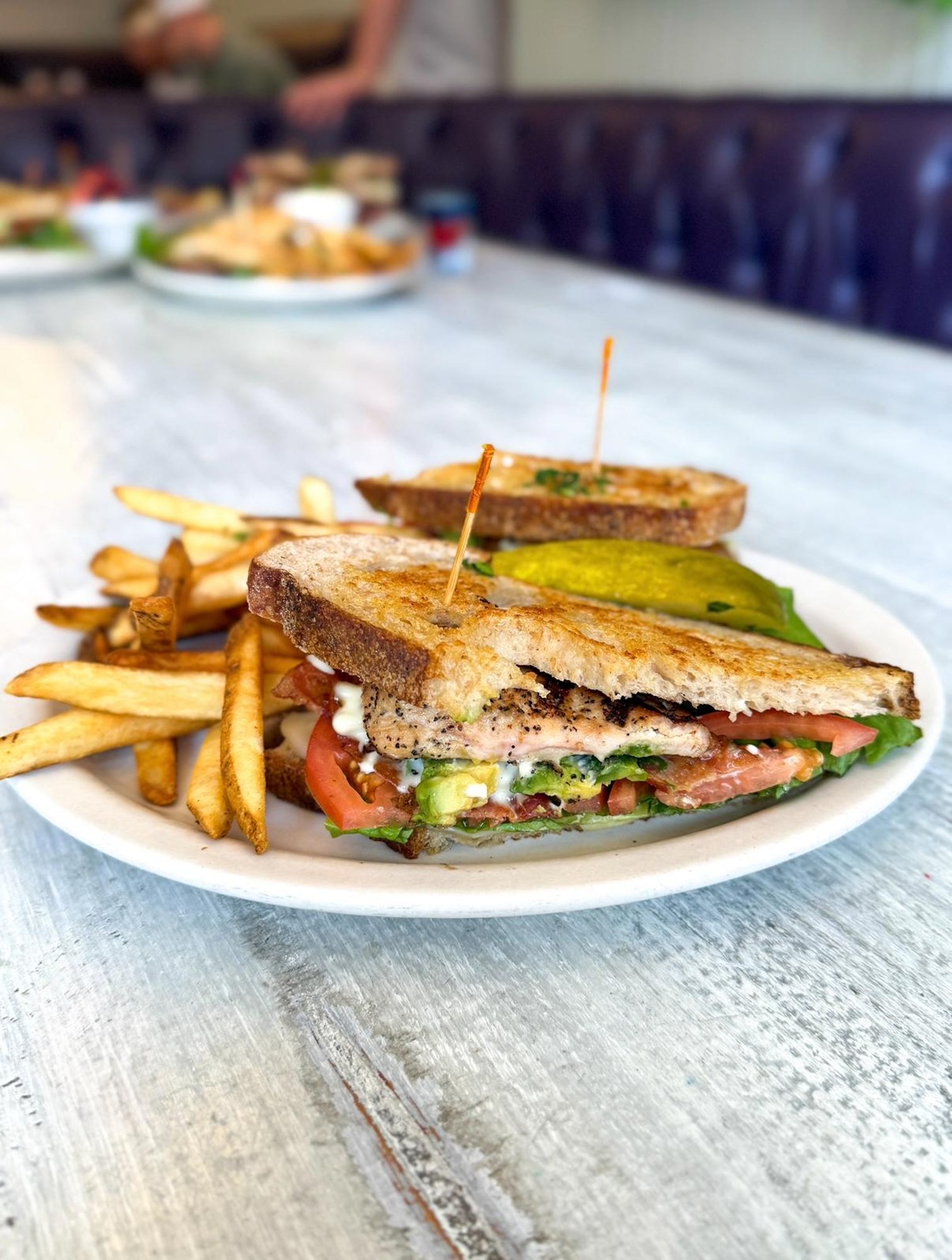 Chicken Avocado Club