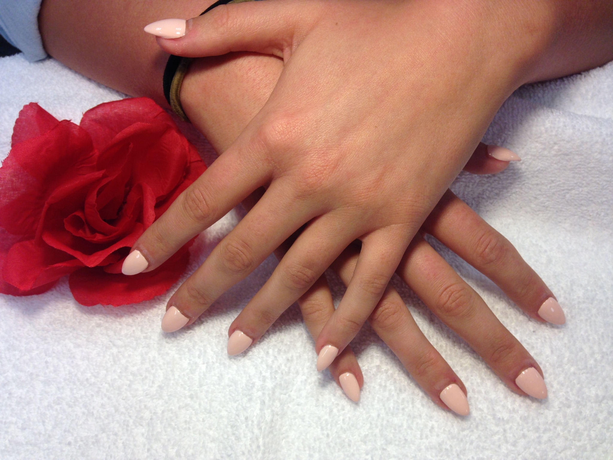 TL Nails & Spa image