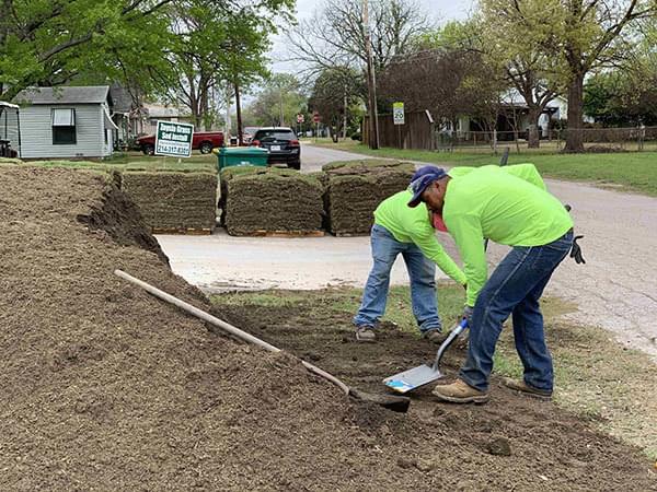 Zoysia Sod Photo