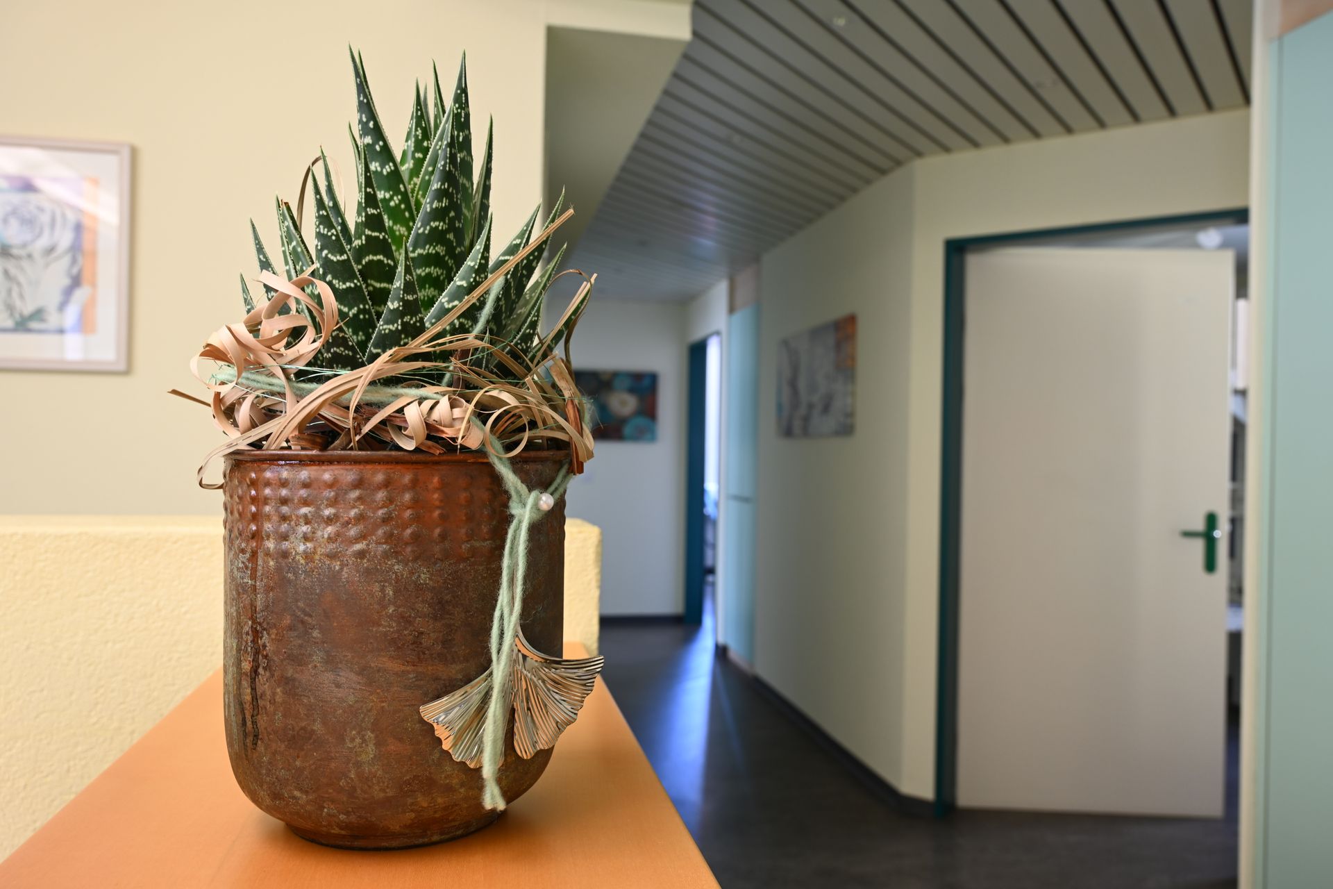 Galerie-Thumbnail