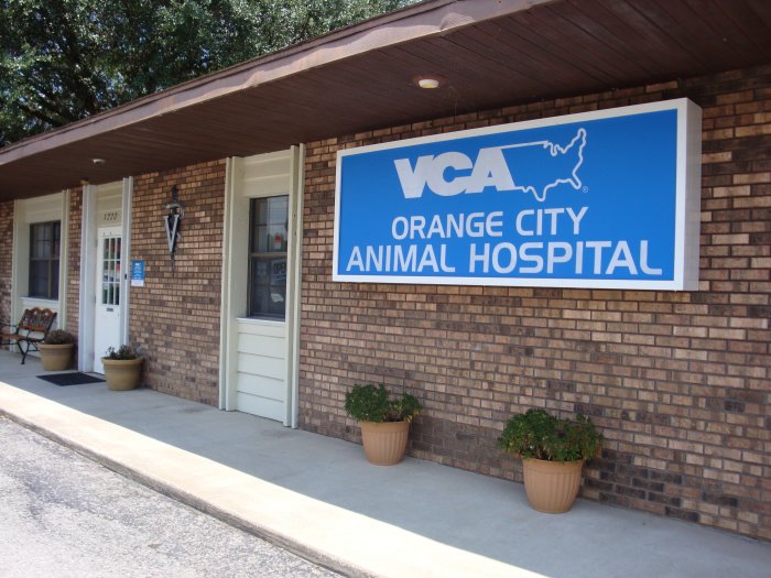 vca orange animal hospital