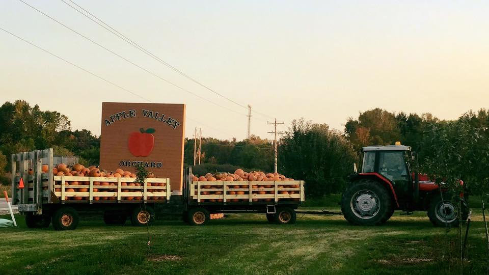 Apple Valley Orchard LLC Photo