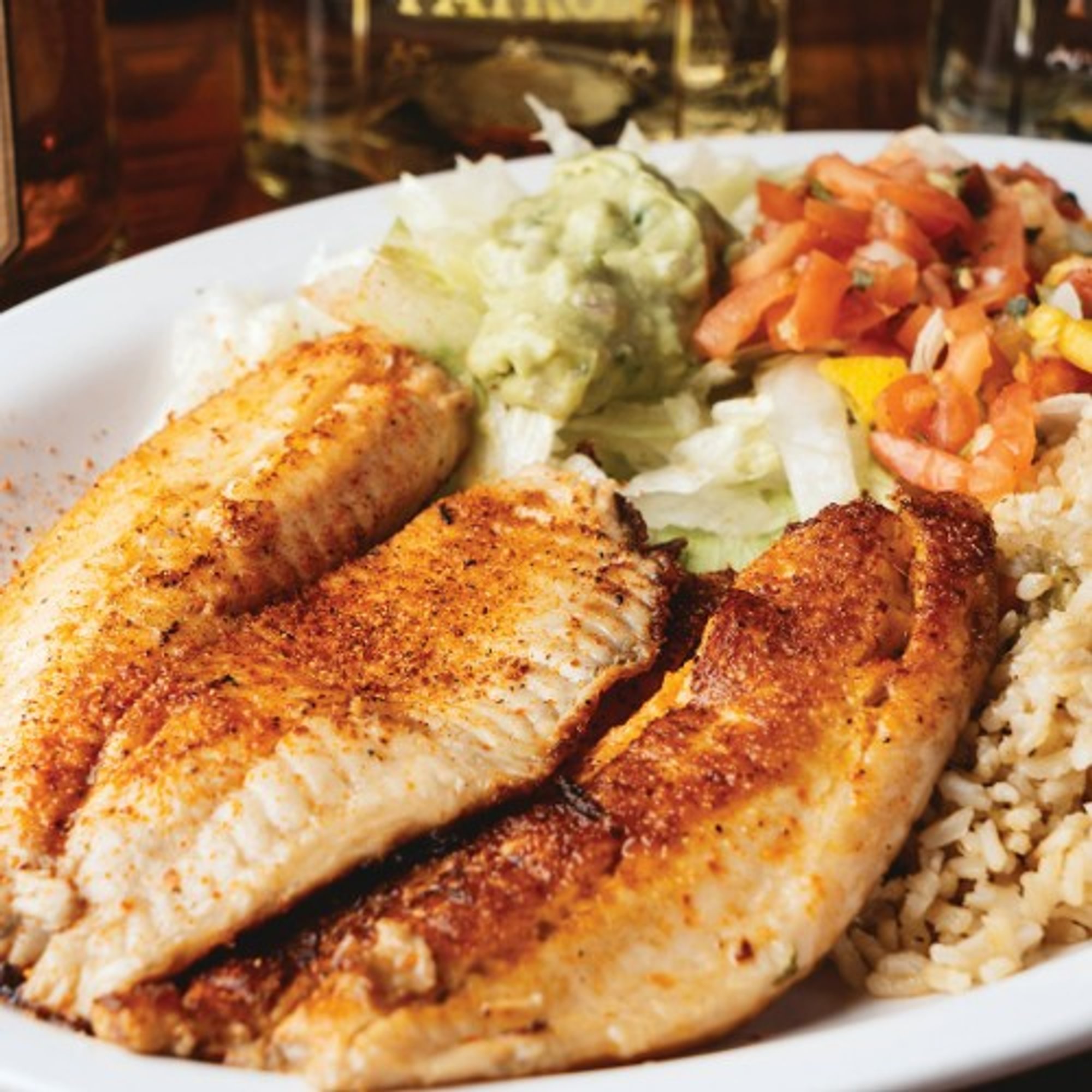 173. Tilapia San Lucas