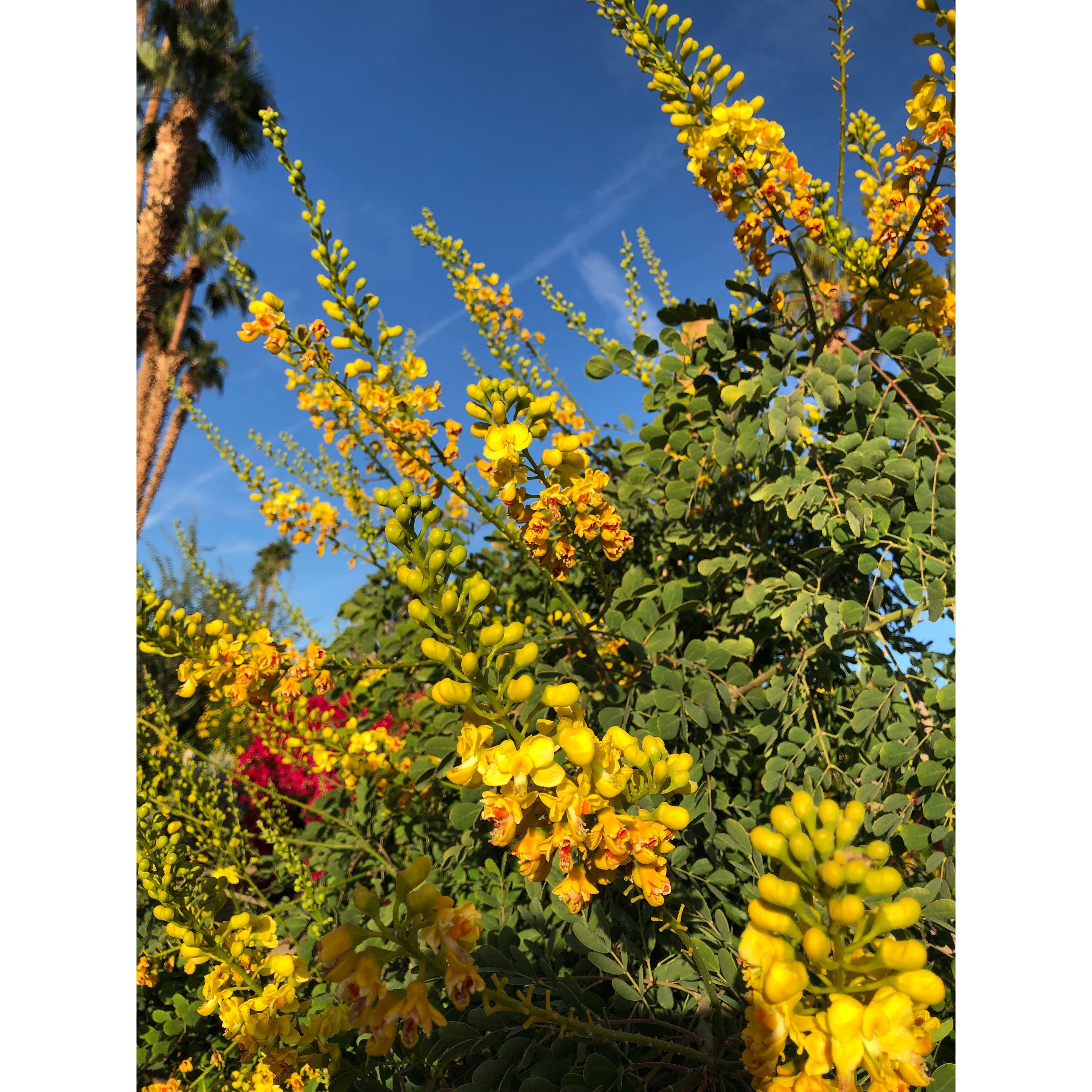 Moller’s Garden Center Image