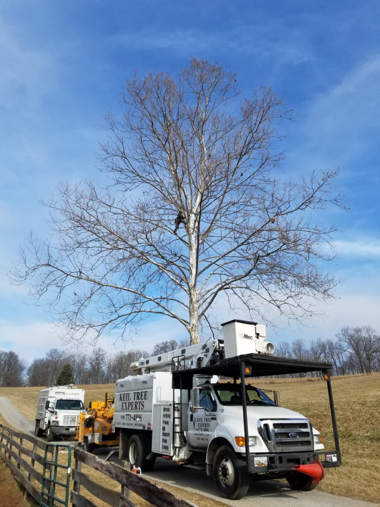 Keil Tree Experts Inc Image