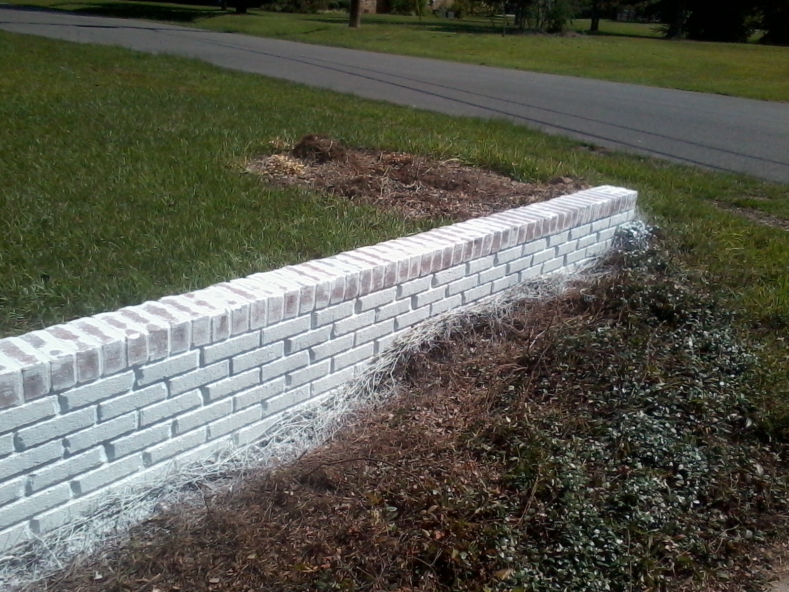 Spider's Construction Image