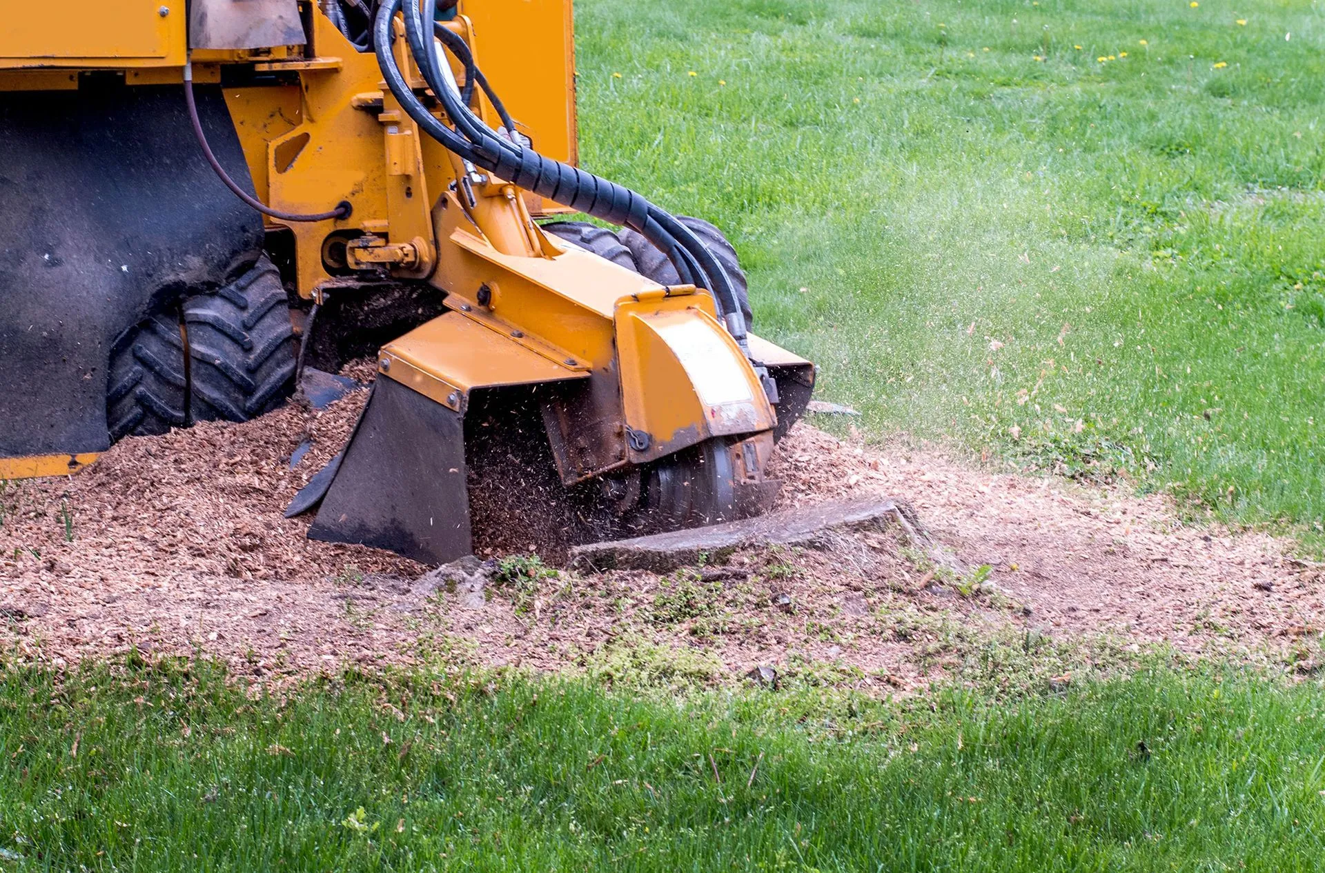 Stump Grinding Services