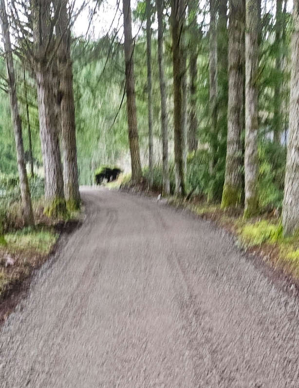 Driveway Installation