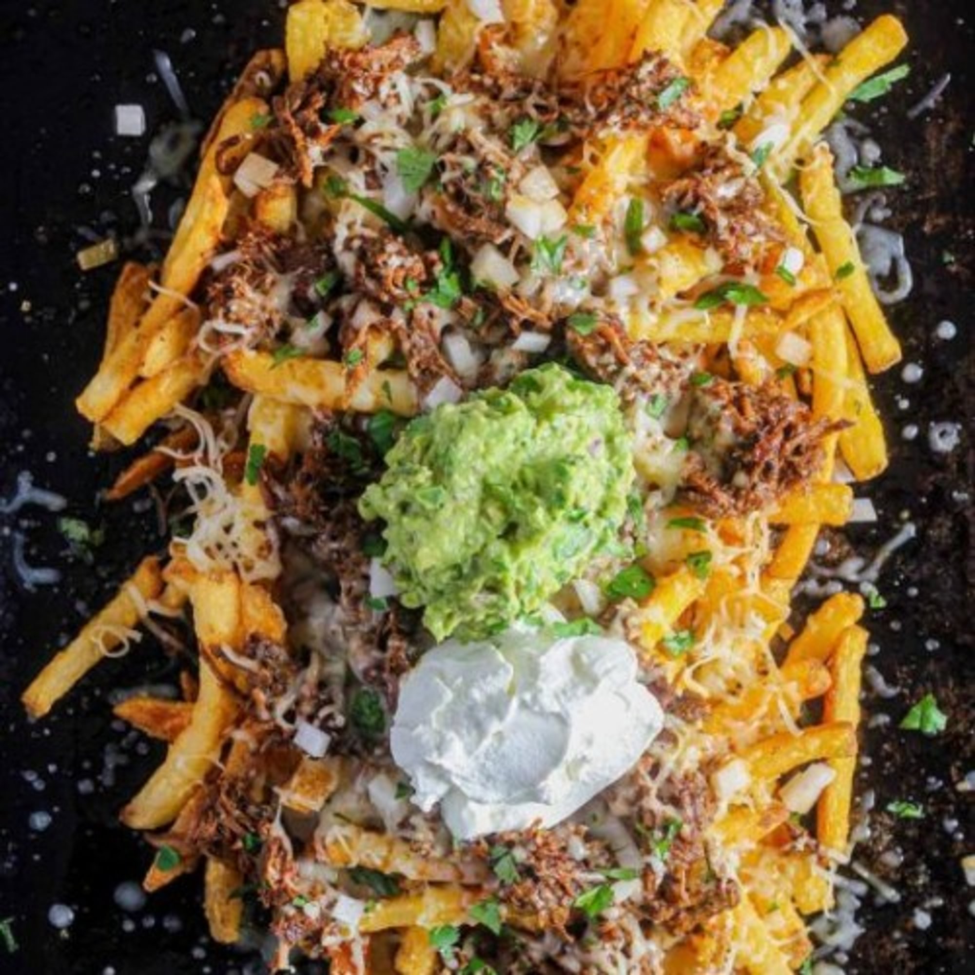 Fries Birria