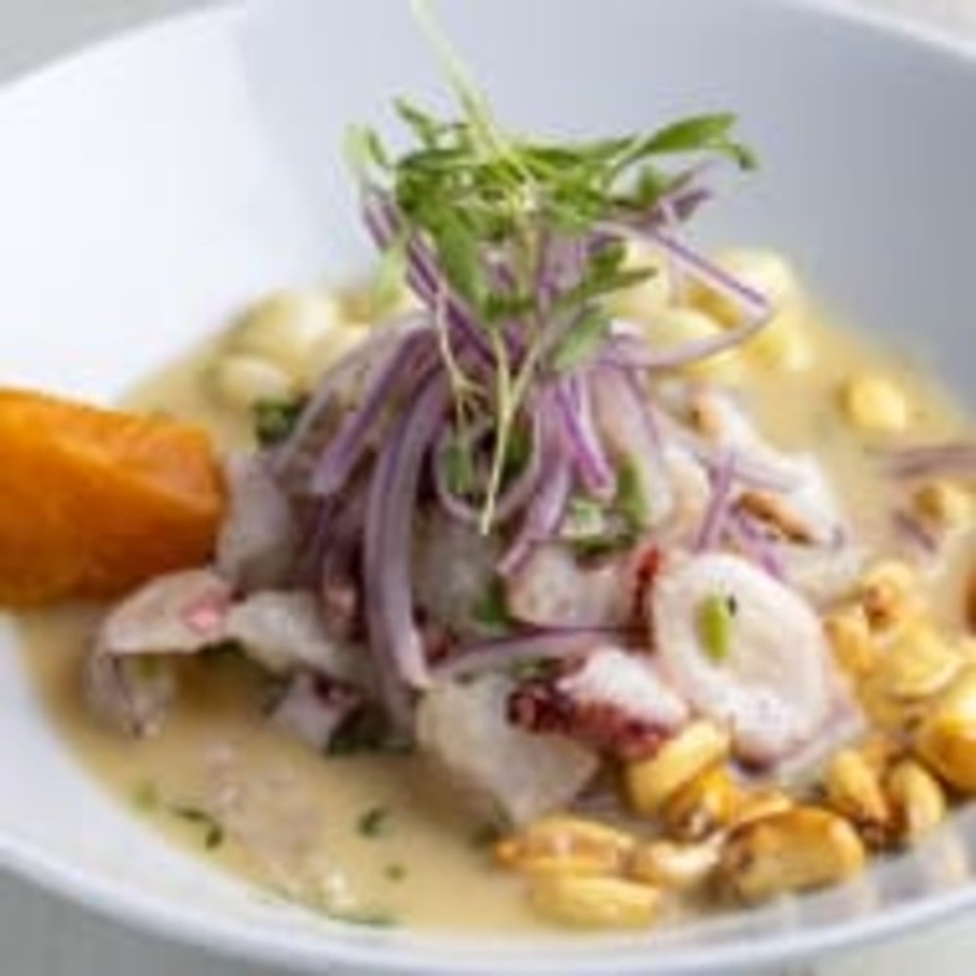 Ceviche Pulpo Clasico
