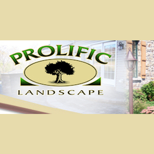Prolific Design Studio Logo
