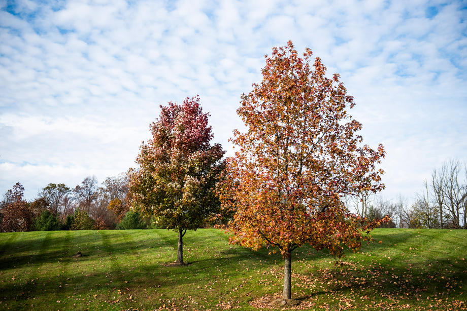 Meadows at Parkview Photo