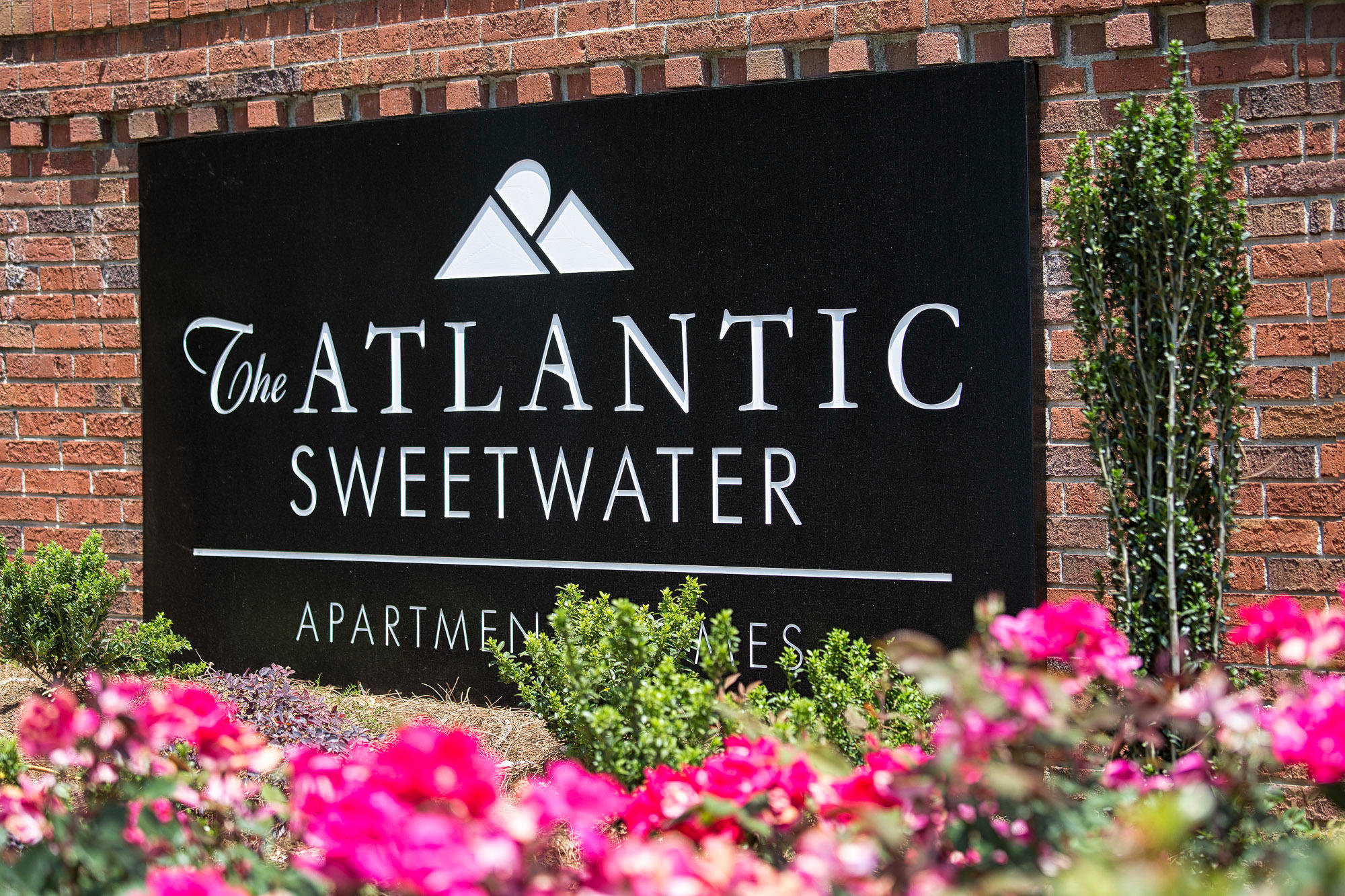 The Atlantic Sweetwater Photo