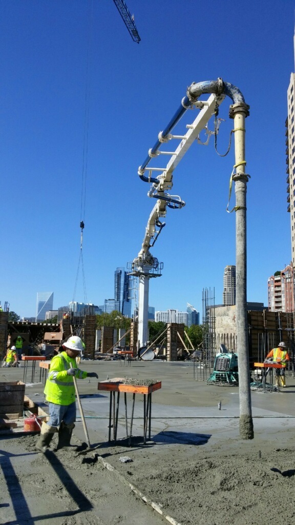 Blue Hat Crane Photo