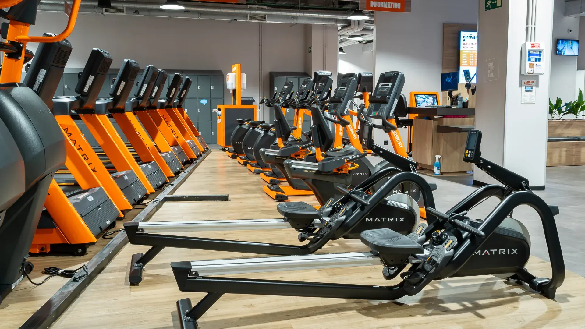 Galería en miniatura