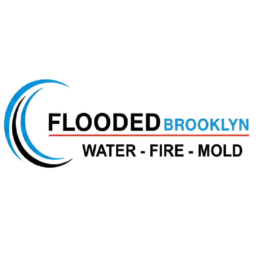 Flooded Brooklyn Logo