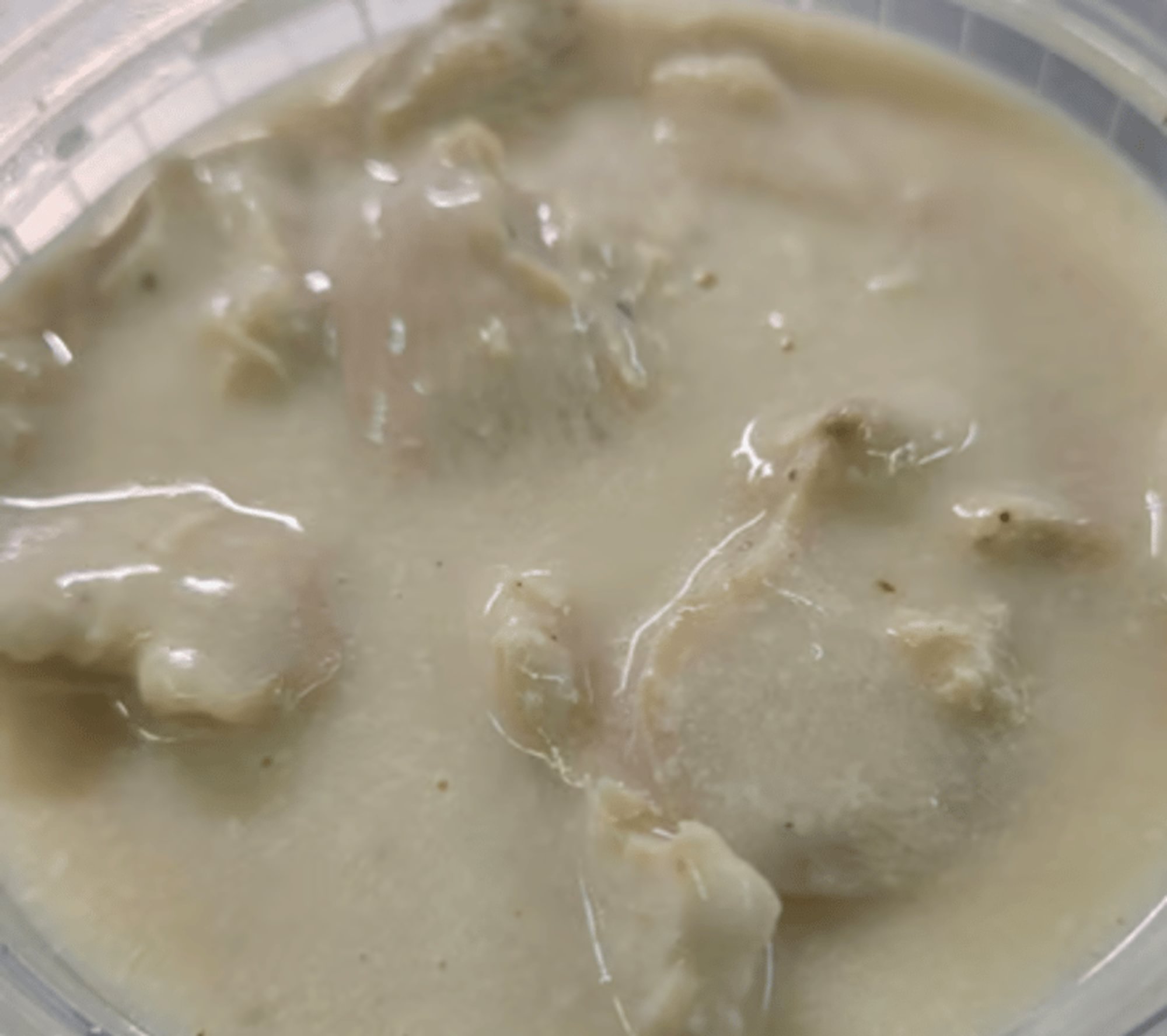 Pechuga en Salsa Alfredo / Chicken Breast in Alfredo Sauce