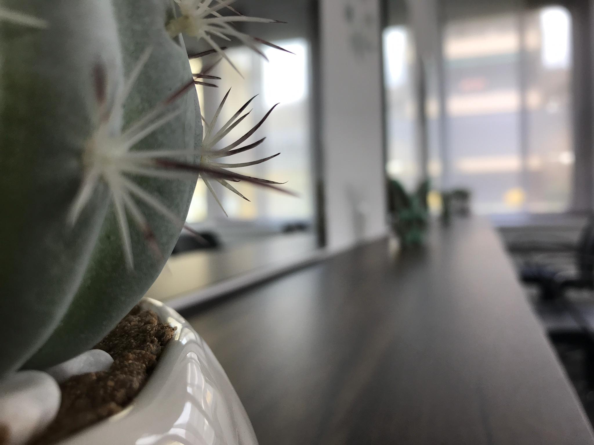 Galerie-Thumbnail