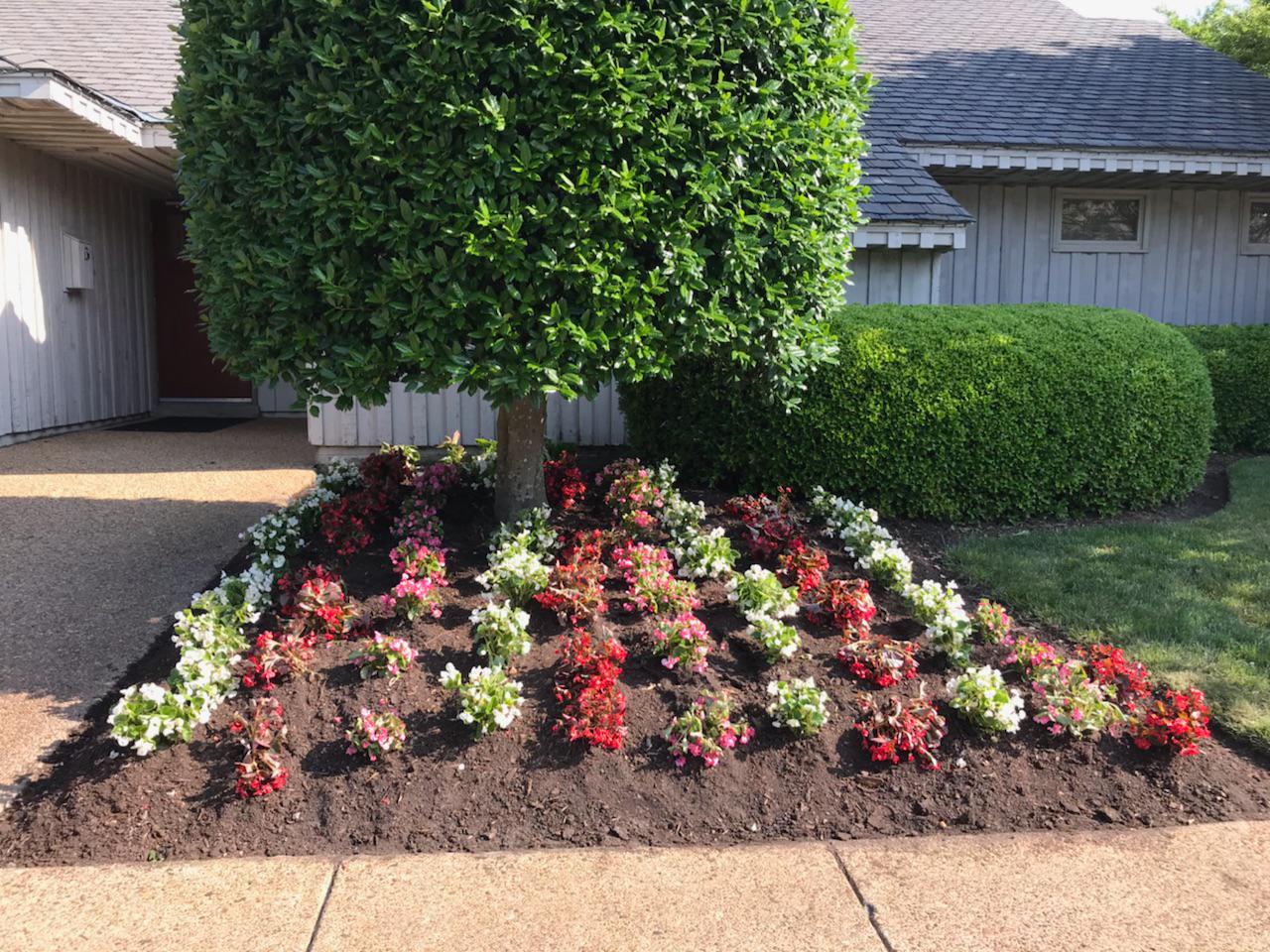 Botanical Landscape Management Photo