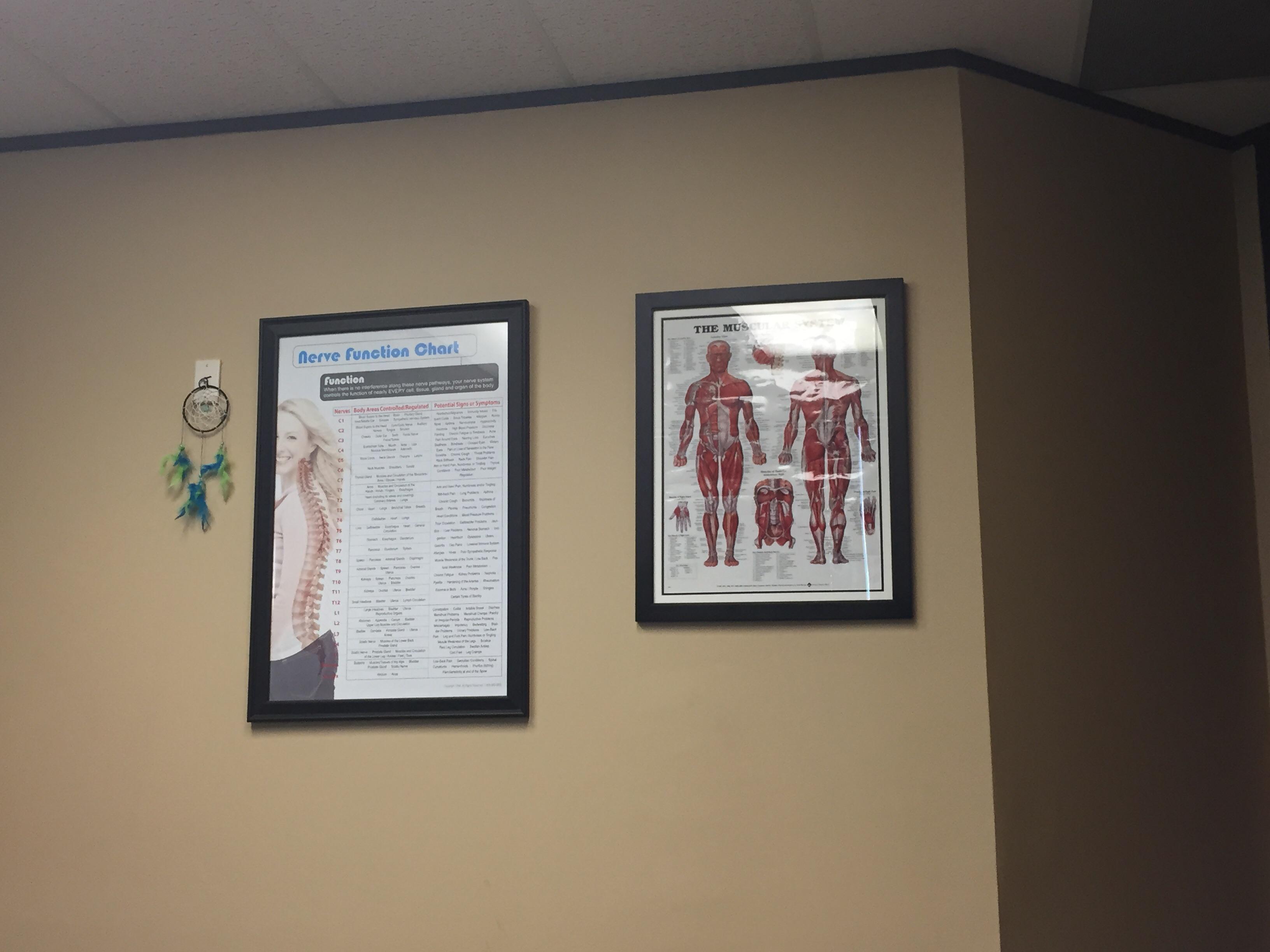 So cool it earned a spot right next to the Nerve Function Chart