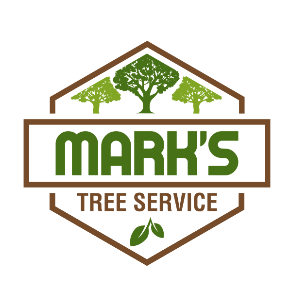 Mark's Tree & Stump Removal Photo