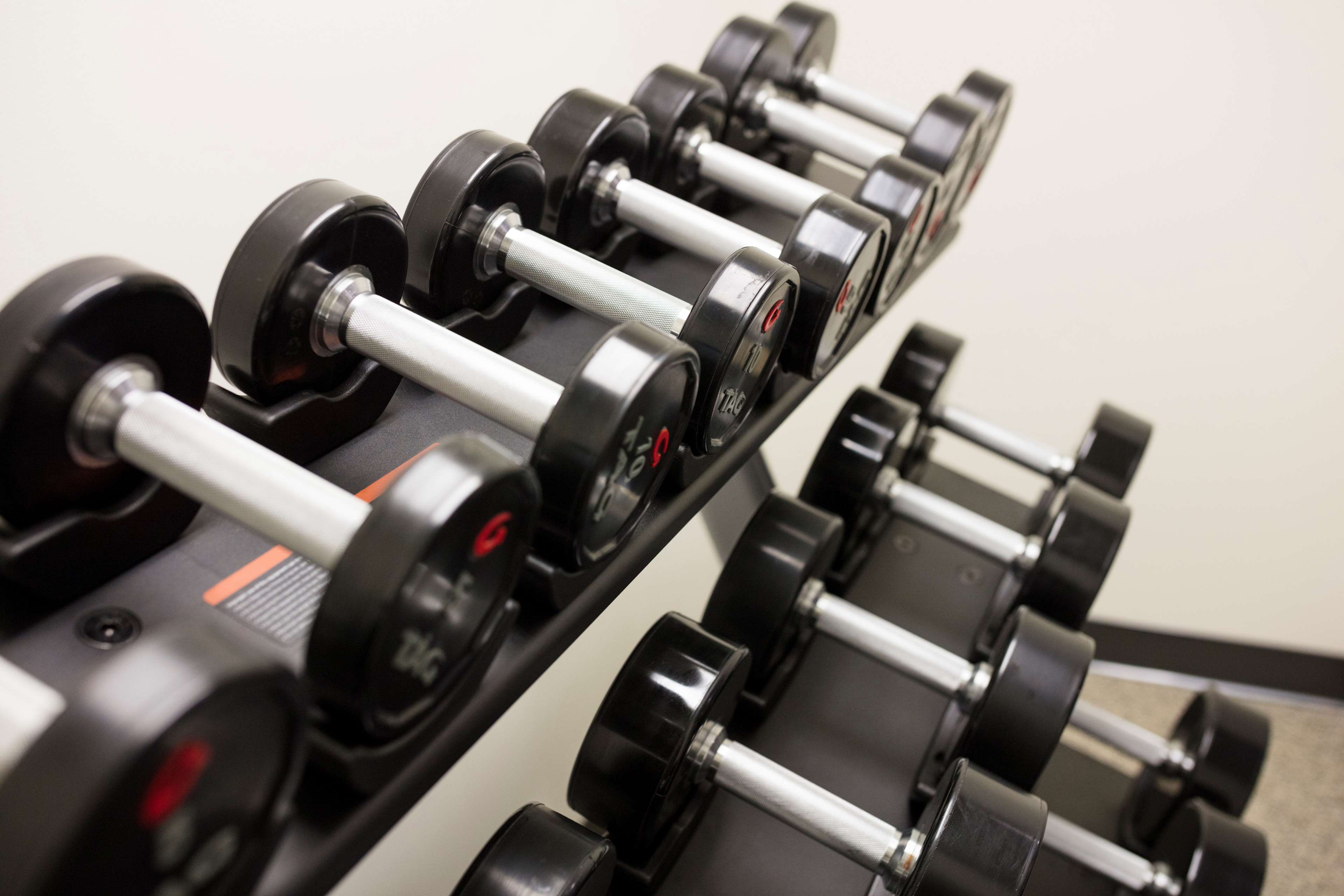 Health club  fitness center  gym