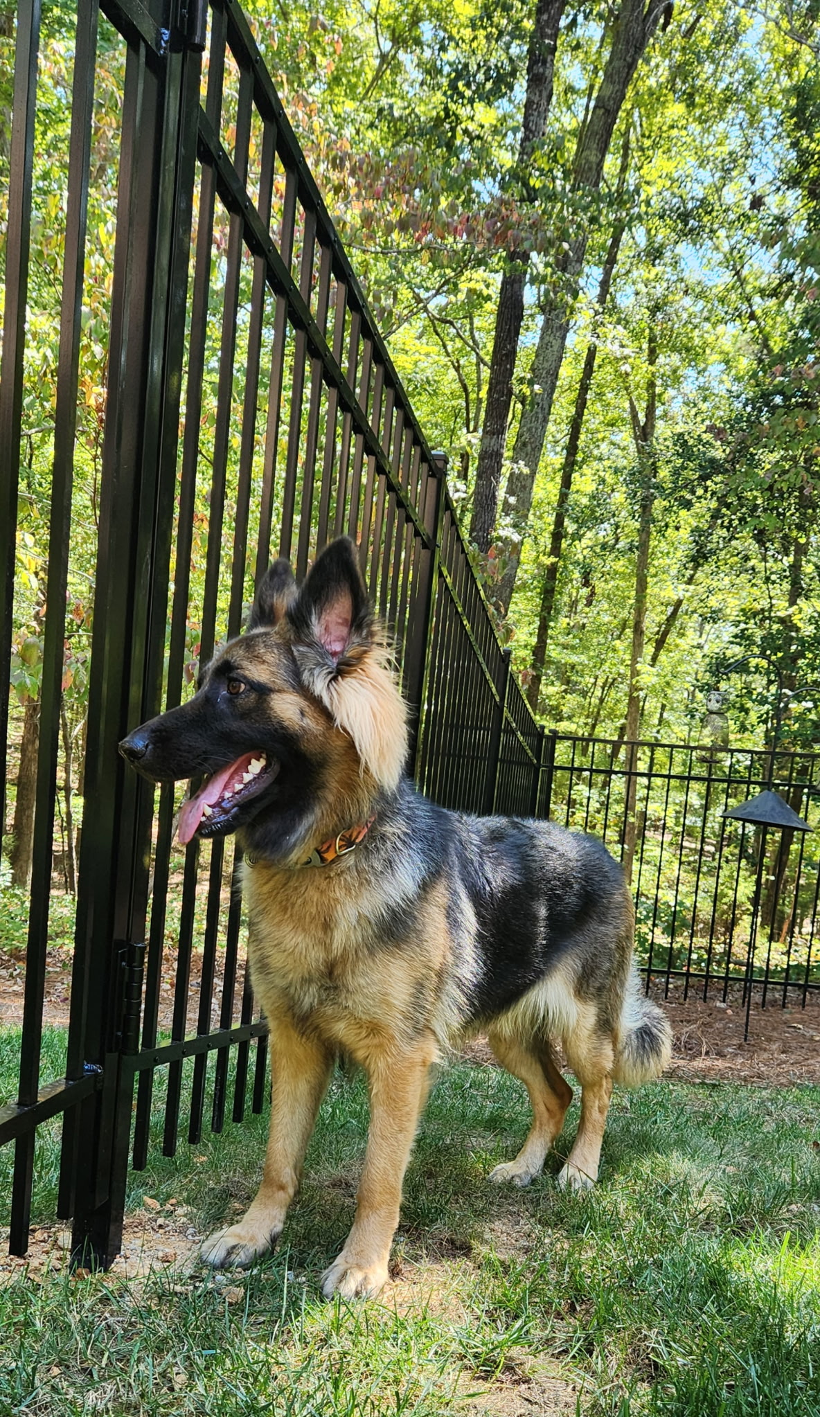 B Line Fencing & Services Image