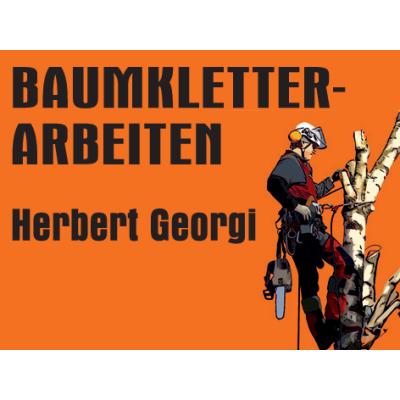 Logo von Herbert Georgi Baumkletterarbeiten