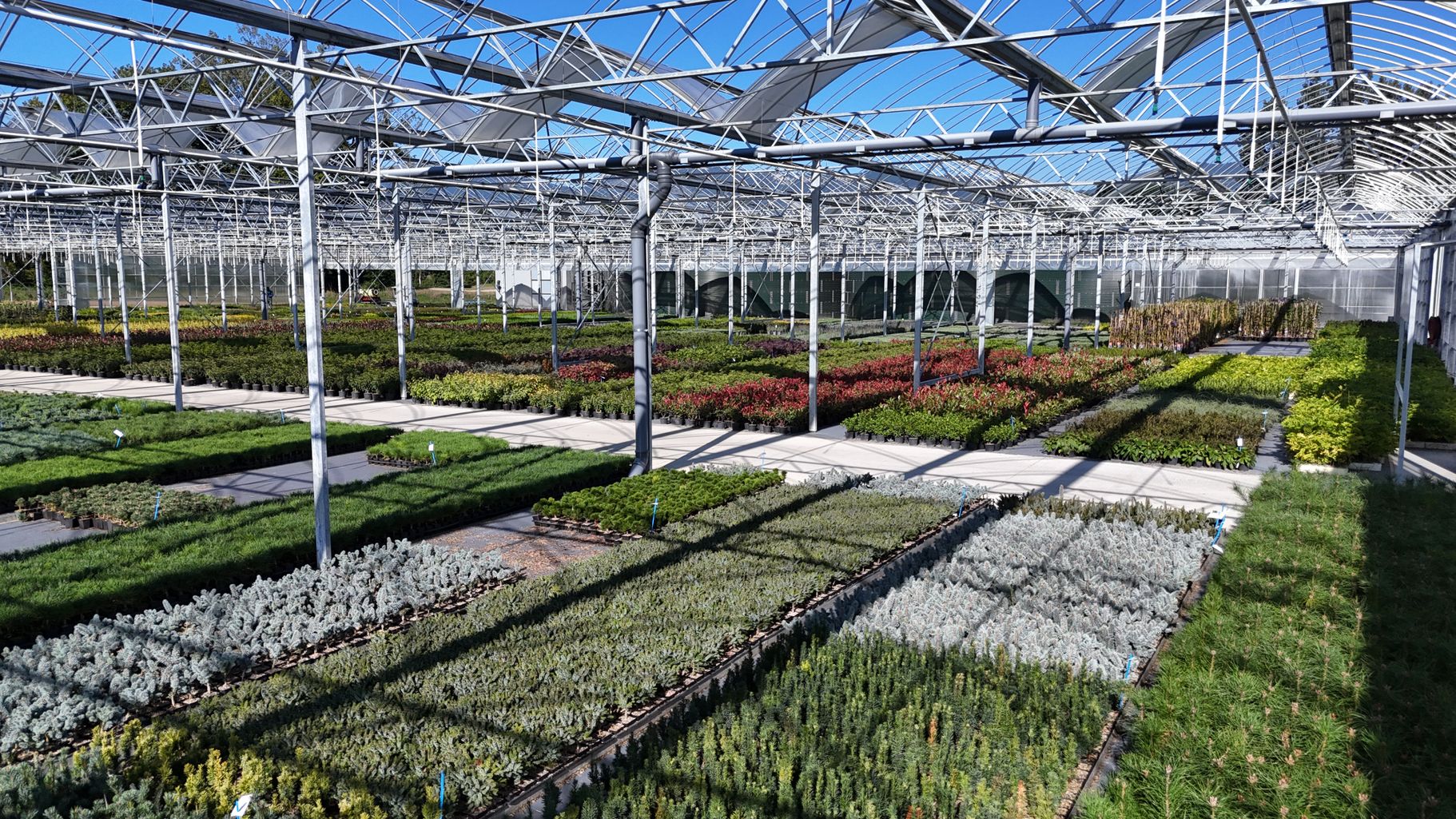 Végétaux de qualité produits localement