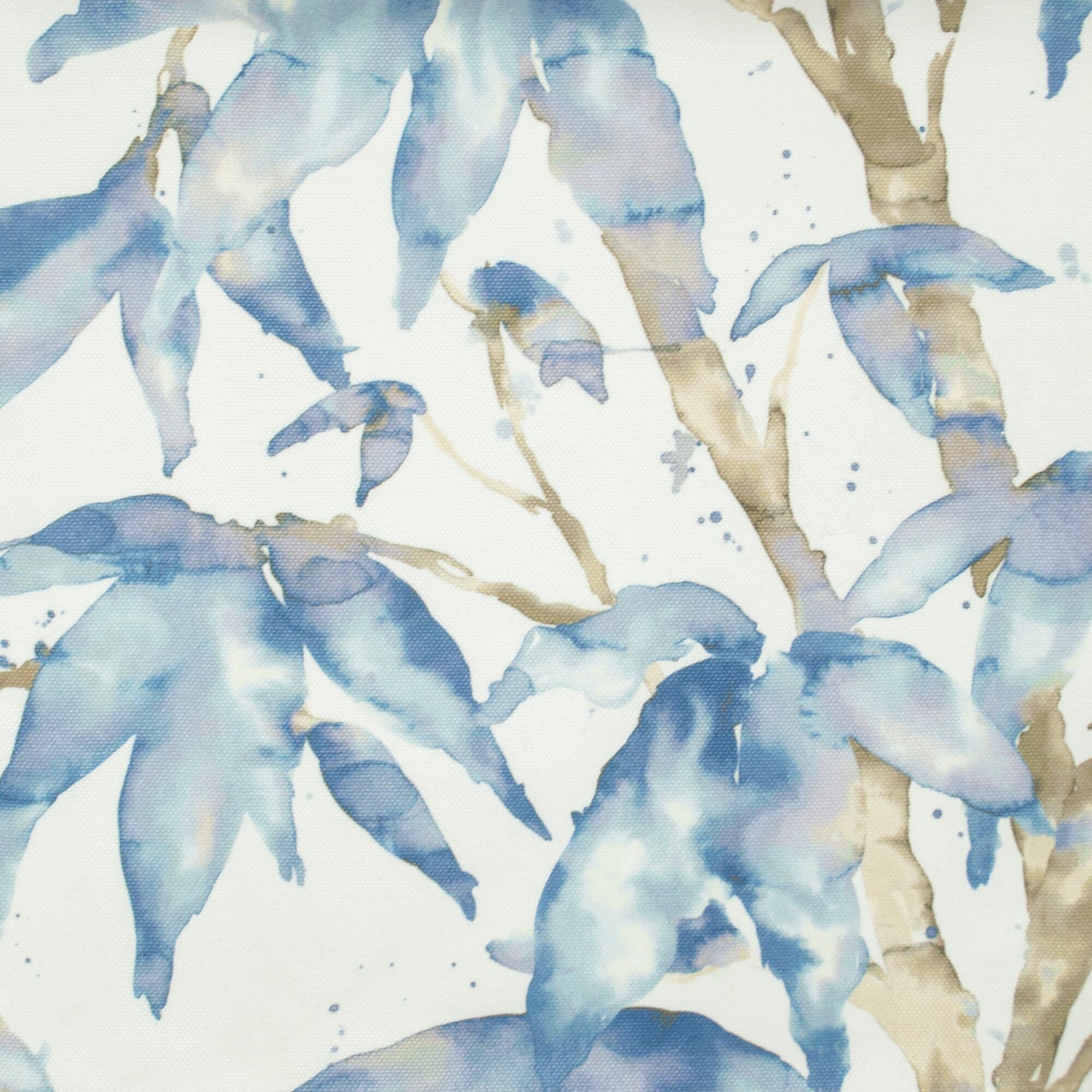 Beautiful Windows Elgin Image