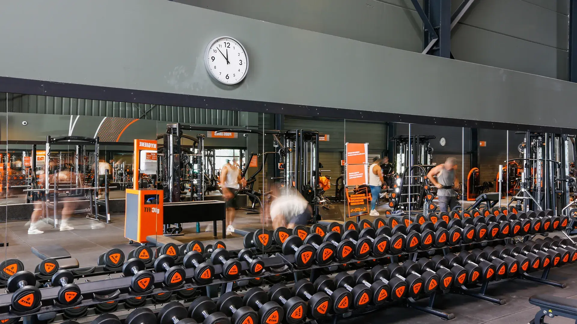 Miniature de la galerie