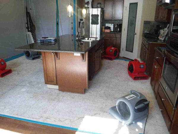 Washington Water Damage & Cleaning Services Photo