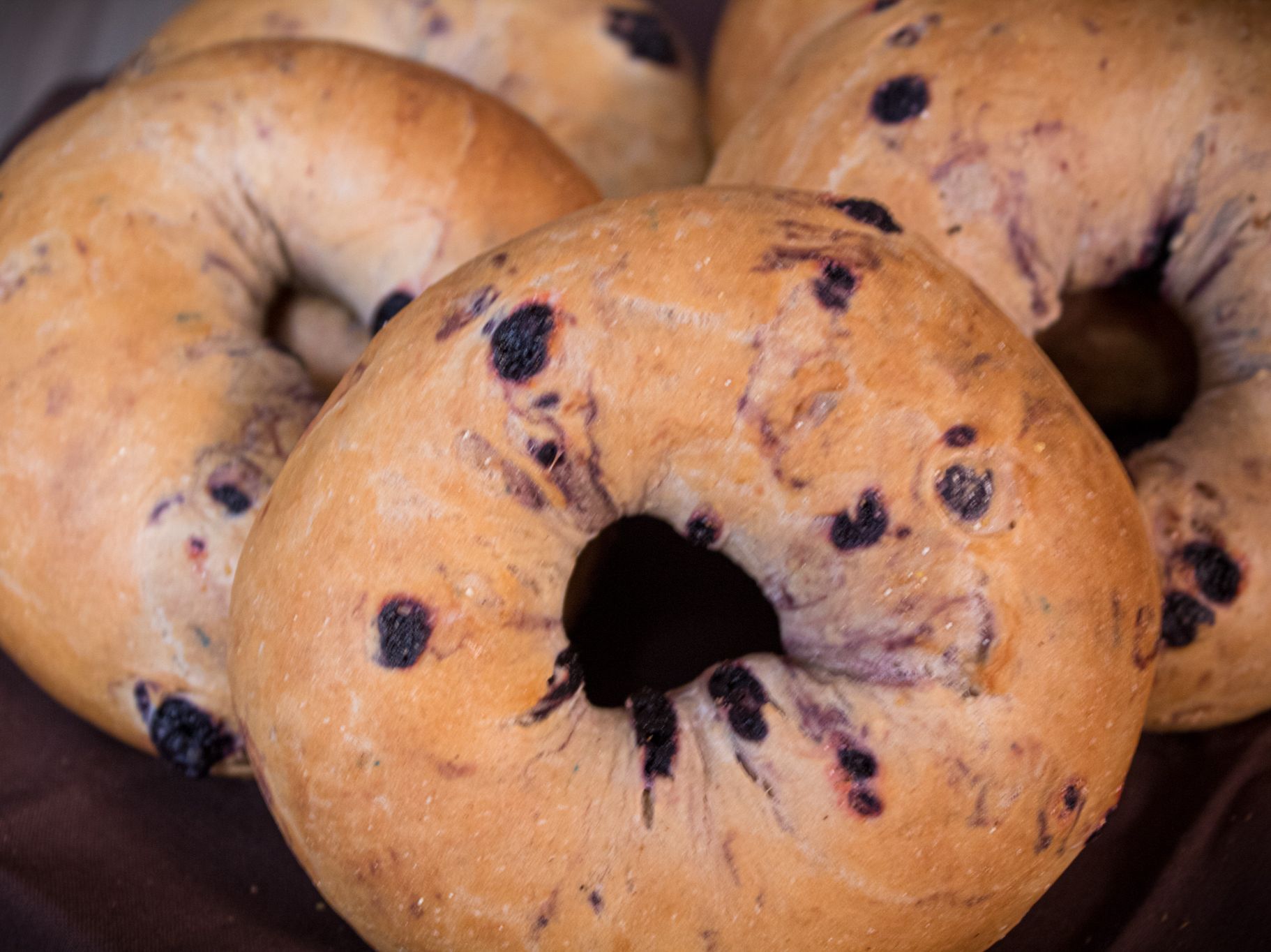 GLUTEN FREE HALF DOZEN (6+1 TUB CREAM CHEESE)