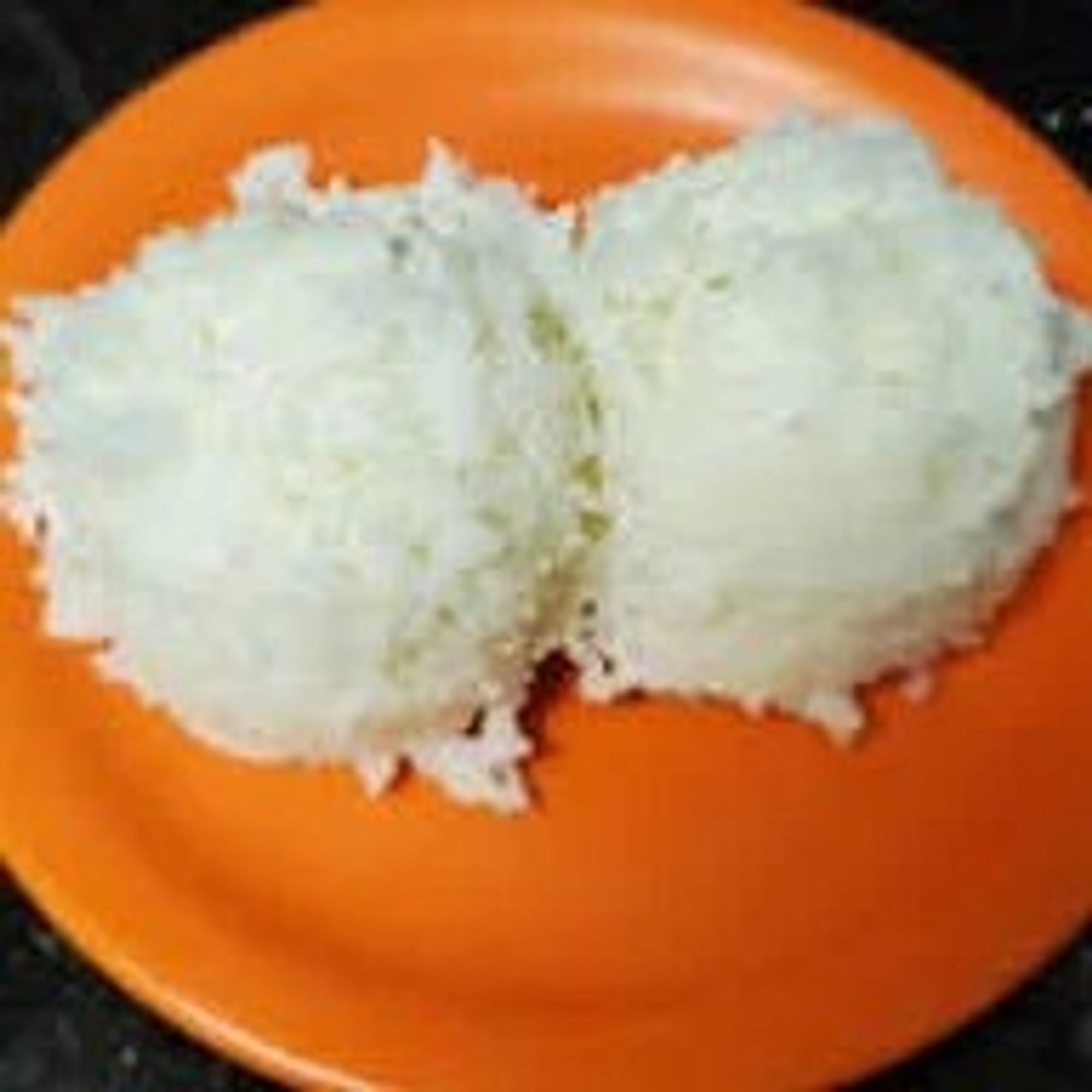 1 scoop rice