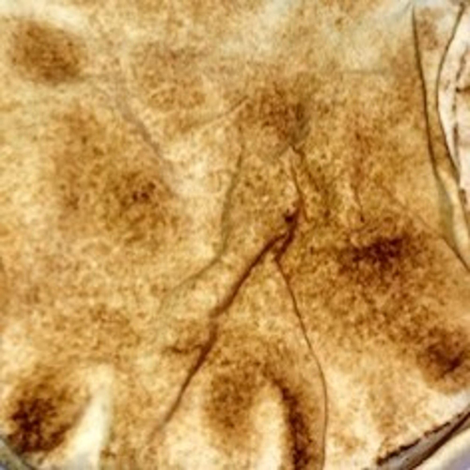 White or Wheat Pita