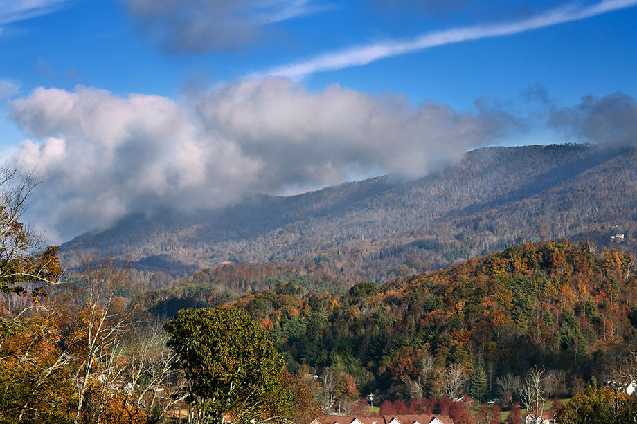 The Cottages of Boone Photo