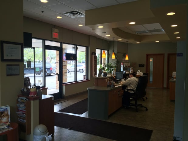 Images Cat Care PC of Rochester Hills